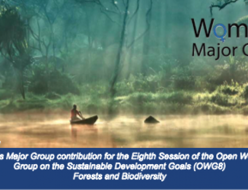 Analysis & key recommendations by the Women’s Major Group on Biodiversity