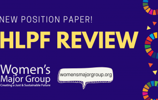 WMG HLPF Review Position Paper