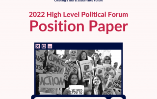 Light pink background with bold text that reads WMG 2022 HLPF Position Paper, with the link to this page and a black and white photo of feminists protesting and marching at the United Nations