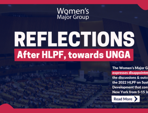 Reflections after HLPF, towards UNGA
