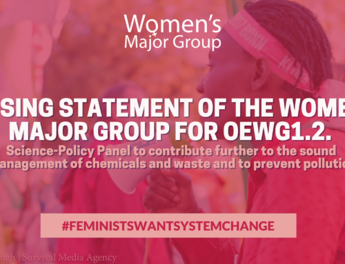 Closing Statement of the Women’s Major Group for OEWG1.2. : Science-Policy Panel to contribute further to the sound management of chemicals and waste and to prevent pollution