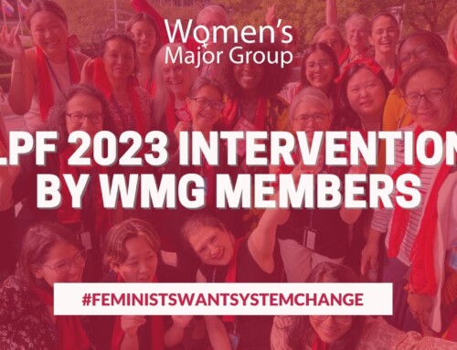 HLPF 2023 Interventions by WMG Members