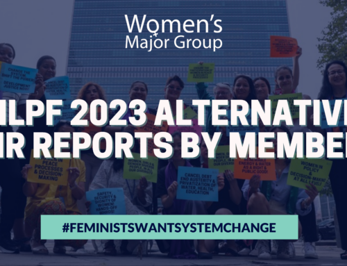 HLPF 2023 Alternative VNR Reports by our Members
